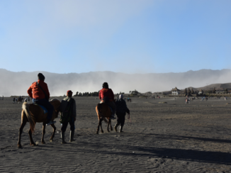 Indonesie - Bromo