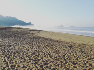 Java - Sukamade Beach