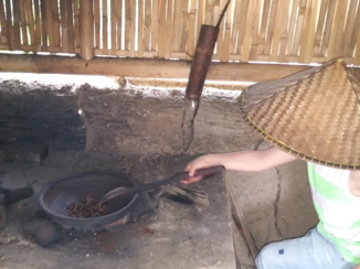 Bali - Koffieplantage