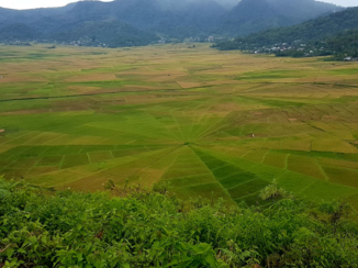 Indonesie - Spiderweb ricefields, Ruteng, Flores