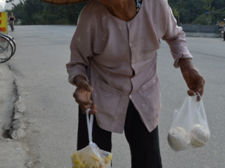 Flores - Tam COC Vietnam