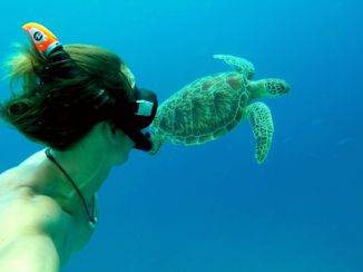 Rondreis Indonesië in vier weken - Snorkel met schildpad