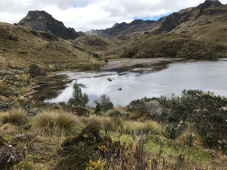 Sawadee - Het merengebie