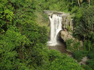 Bali - Waterval