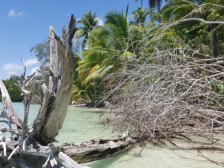 Molukken - "Limiang Beach" Desa Namtabung, Tanimbar Indonesia