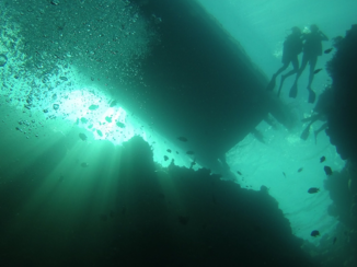 Manado - Diving at bunaken, manado, sulawesi utara