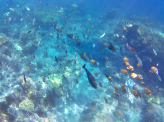 Nusa Lembongan - Crystal Bay