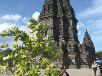 Borobudur - mooi of niet ?