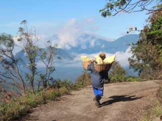 Java - Ijen