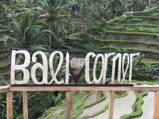 Bali - Rijstvelden van Bali