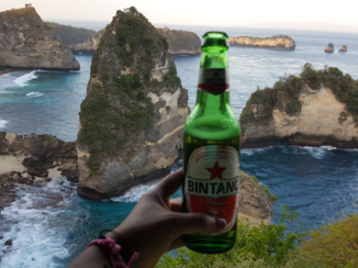 Indonesie - Nusa Penida boomhut
