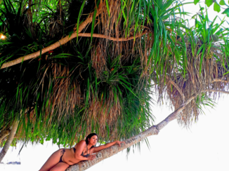 Bali - Karimunjawa island