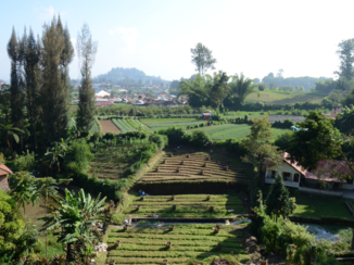 Sumatra - Omgeving van het dorp