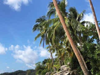 Kei eilanden - Mooiste stranden