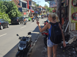 Rondreis Bali, Java & Lombok - Ubud