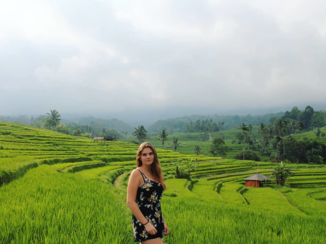 Bali - Rijstenveld