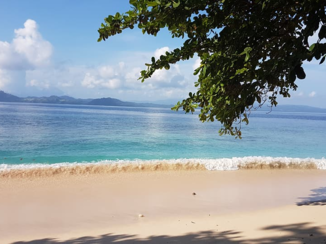 Sulawesi - Bangka island