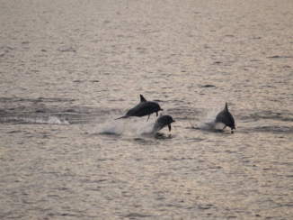 Komodo National Park