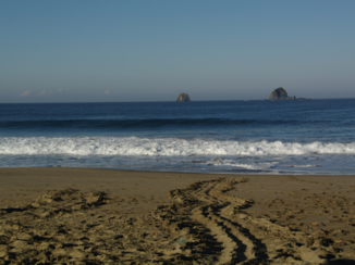 Indonesie - Sukamade