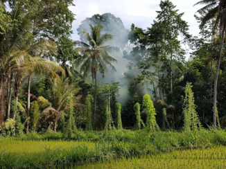 Lombok - Random landscape while driving around the island