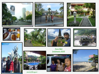Rondreis Indonesië in vier weken - Collage Java