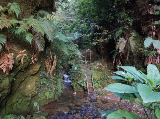Bandung - Rengganis Crater