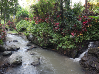 Indonesie - Buyanwangi