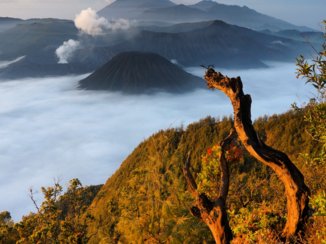 Bromo National Park