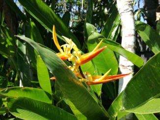 Bali - Prachtige natuur