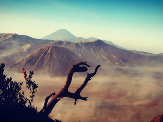 Indonesie - Bromo vulkaan