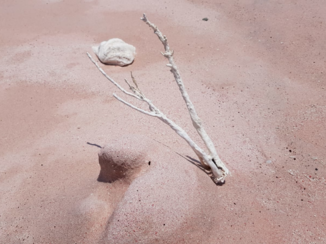 Indonesie - Pink beach