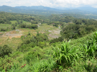 Sulawesi - Uitzicht