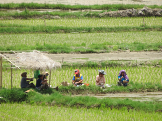 Sulawesi - Locals aan het werk