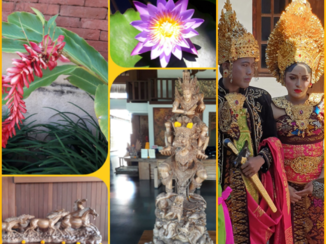 Indonesie - Cultuur..Bali